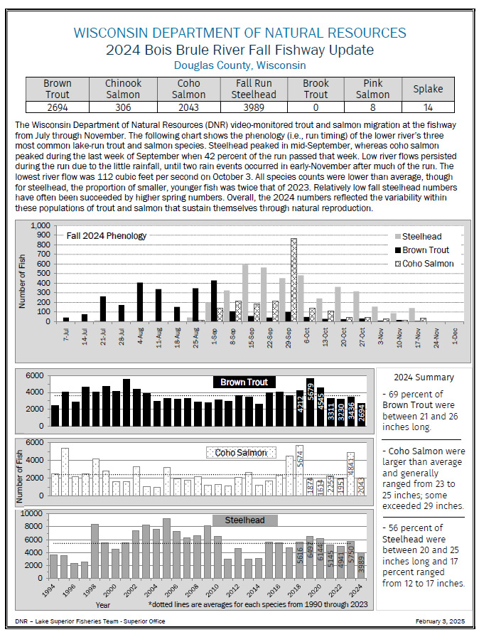 Brule River trout and steelhead report