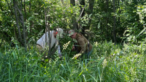Brushing trails on the North Fork of the Clam River